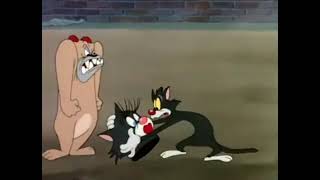 Tex Avery   Ventriloquist Cat 1950xx part2