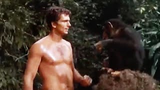 Tarzan 1966  Looking For Tarzan Season 1 Clip  World of Warner Bros