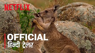 Kangaroo Valley 2022 Netflix Movie Official Hindi Traler 1  FeatTrailers