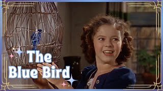 The Blue Bird 1940 Full Movie  Shirley Temple  Classic Family Film