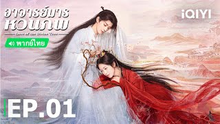 EP1 FULL   Love of the Divine Tree     iQIYI Thailand