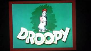 Homesteader Droopy 1954