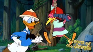 Clown of the Jungle 1947 Disney Donald Duck Cartoon Short Film  Review