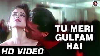 Tu Meri Gulfam Hai  Agni Sakshi 1996  Manisha Koirala Jackie Shroff