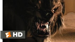 Cursed 49 Movie CLIP  From Dog to Werewolf 2005 HD