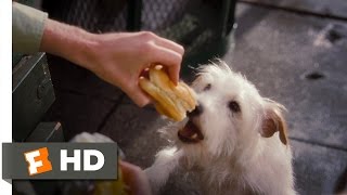 Hotel for Dogs 110 Movie CLIP  How to Steal Food 2009 HD