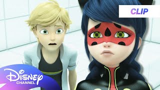 Miraculous World London At The Edge Of Time  Ladybug Tells Adrien  disneychannel