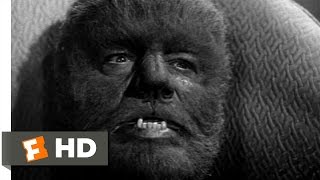 Abbott and Costello Meet Frankenstein 111 Movie CLIP  The Wolf Man Transforms 1948 HD
