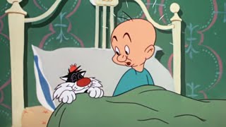 Looney Tunes  Kit for Cat  Elmer Fudd  Sylvester  1948  Classic Cartoon