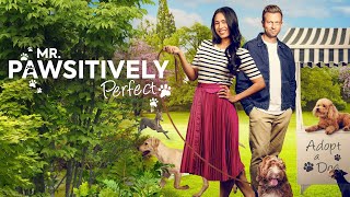 Mr Pawsitively Perfect  FULL ROMCOM MOVIE  Christine L Nguyen  Jamie Spilchuk  Brendee Green