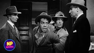 Cantinflas Conoce A Los Pandilleros   El Seor Fotgrafo 1953  Now Espaol