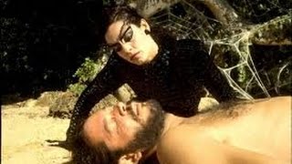 Kiss of the Spider Woman 1985 with Raul Julia Sonia Braga William Hurt movie