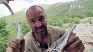 Thirty Tadpoles Make A Meal  Marooned with Ed Stafford S2E4