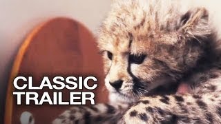 Duma 2005 Official Trailer 1  Cheetah Movie HD