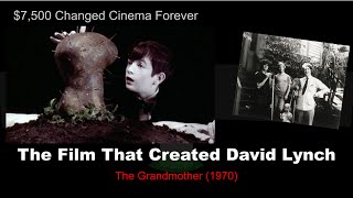 The Disturbing Student Film That Launched David Lynchs Career  The Grandmother 1970