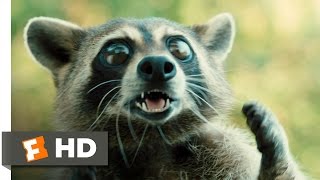 Furry Vengeance 1111 Movie CLIP  Raccoon Fight 2010 HD