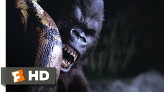 King Kong 59 Movie CLIP  Snake vs Kong 1976 HD