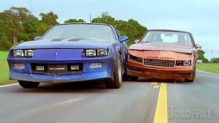 Brown Car VS Blue Car who wins  Black Dog  CLIP