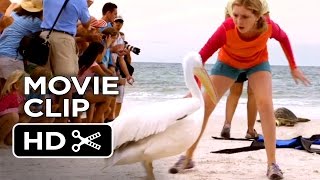 Dolphin Tale 2 Movie CLIP  Shoo Rufus 2014  Morgan Freeman Dolphin Drama HD