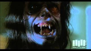 Werewolf transformation  The Howling 1981