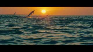 Oceans 2010  Theatrical Trailer HD