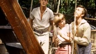 Swiss Family Robinson