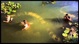 Anacondas The Hunt for the Blood Orchid 2004 Movie Trailer