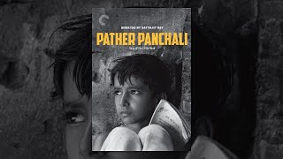 Pather Panchali 1955  Satyajit Ray