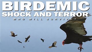 BIRDEMIC SHOCK AND TERROR 2010 TRAILER