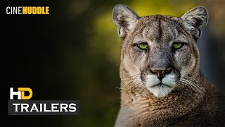 Deep in the Heart A Texas Wildlife Story 2022  Trailer