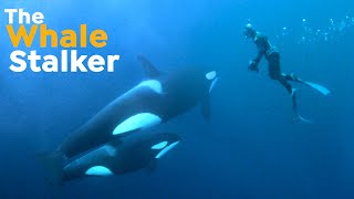 How AwardWinning Documentary Filmmaker Rick Rosenthal Films Whales Underwater