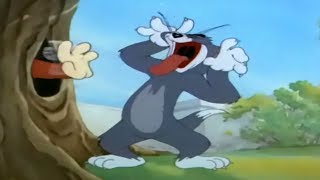 Tom and Jerry  Full Episodes Flirty Birdy 1945 Part 1