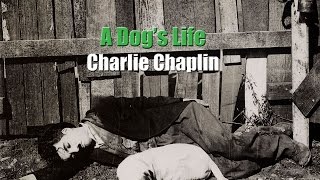 Charlie Chaplin  Nap Time A Dogs Life