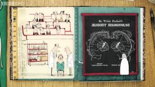 The Story of the Brain  Dara O Briains Science Club  Episode 5  BBC Two