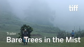 BARE TREES IN THE MIST Trailer  TIFF 2019