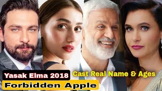 Yasak Elma Forbidden Apple Turkish One of the Best Drama Series Cast Real Name  Ages  Onur Tune