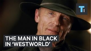 The Man In Black In Westworld