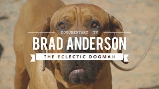 BRAD ANDERSON THE WORLDS MOST ECLECTIC DOG MAN