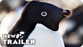 Penguins Trailer 2019 Disney Documentary