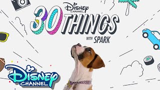 30 Things with Spark  Pup Academy  Disney Channel