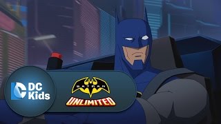 Some Assembly Required  Batman Unlimited  dckids