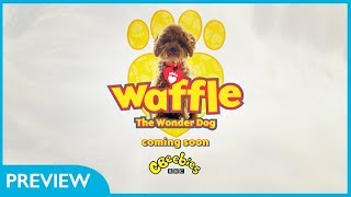 CBeebies  Waffle The Wonder Dog  Series 3 Official Preview