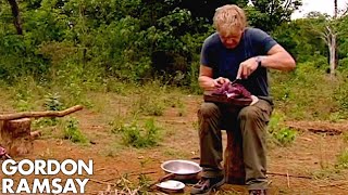 Gordon Ramsay Helps A Cambodian Tribe Butcher And Cook Buffalo  Gordons Great Escape