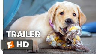 Pick of the Litter Trailer 1 2018  Movieclips Indie