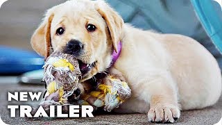 Pick of the Litter Trailer 2018 Guide Dogs Documentary