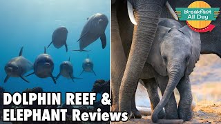 Disneynatures Dolphin Reef  Elephant movie reviews  Breakfast All Day