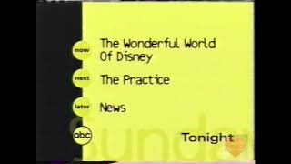 The Wonderful World of Disney  The Practice  News   ABC  Promo  1999