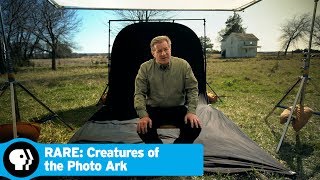 RARE CREATURES OF THE PHOTO ARK  How the Photo Ark Began  PBS