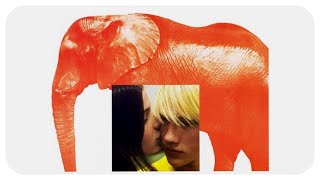 Elephant 2003  Limitations of Perception