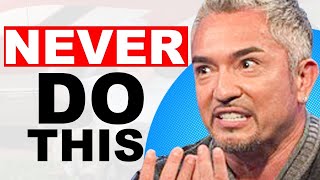 Cesar Millan on the Biggest Mistake Dog Owners Make  Ep 162